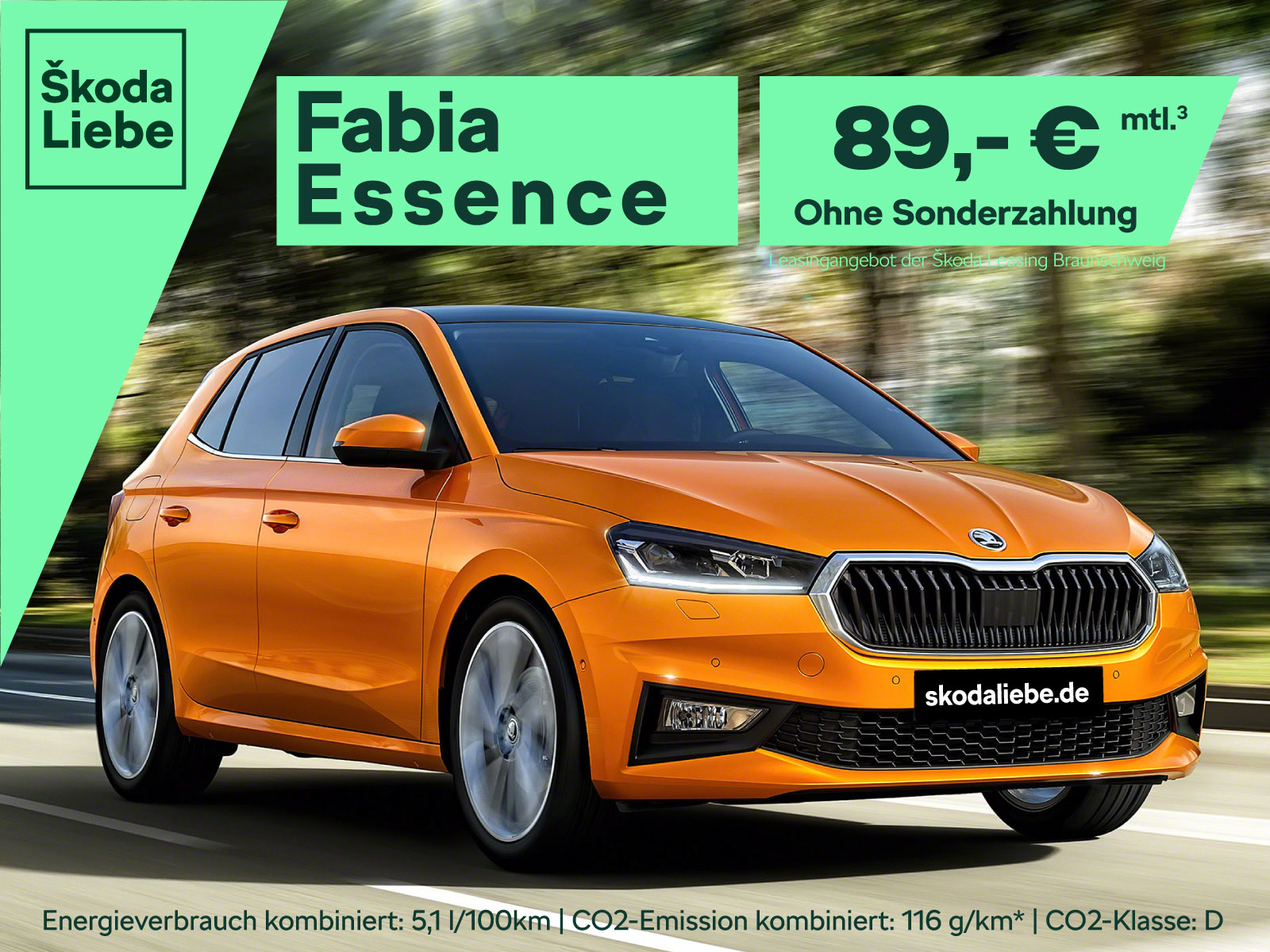Das Bild zeigt ein Skoda Fahrzeug