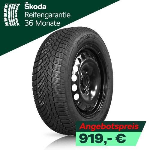 Skoda Epiq Winterräder Stahl