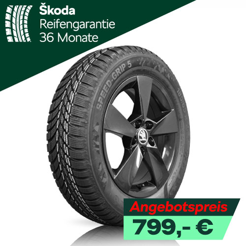 Winterräder Alu Skoda Fabia