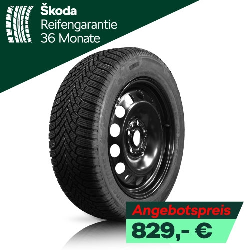 Winerräder Skoda Karoq Stahl