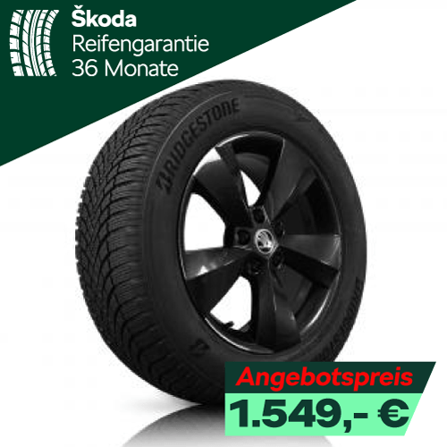 215/60/16 Winterreifen deals mit originale Skoda Alufelgen